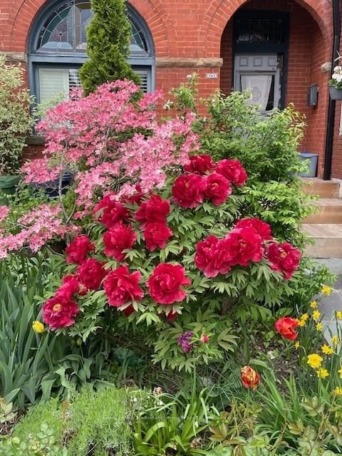 Photo 29 at 262 Concord Avenue, Little Italy, Toronto