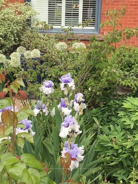 Photo 31 at 262 Concord Avenue, Little Italy, Toronto