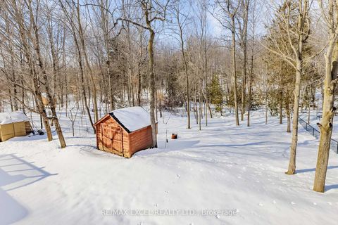 Photo 45 at 96 Ferncroft Drive, Keswick North, Georgina