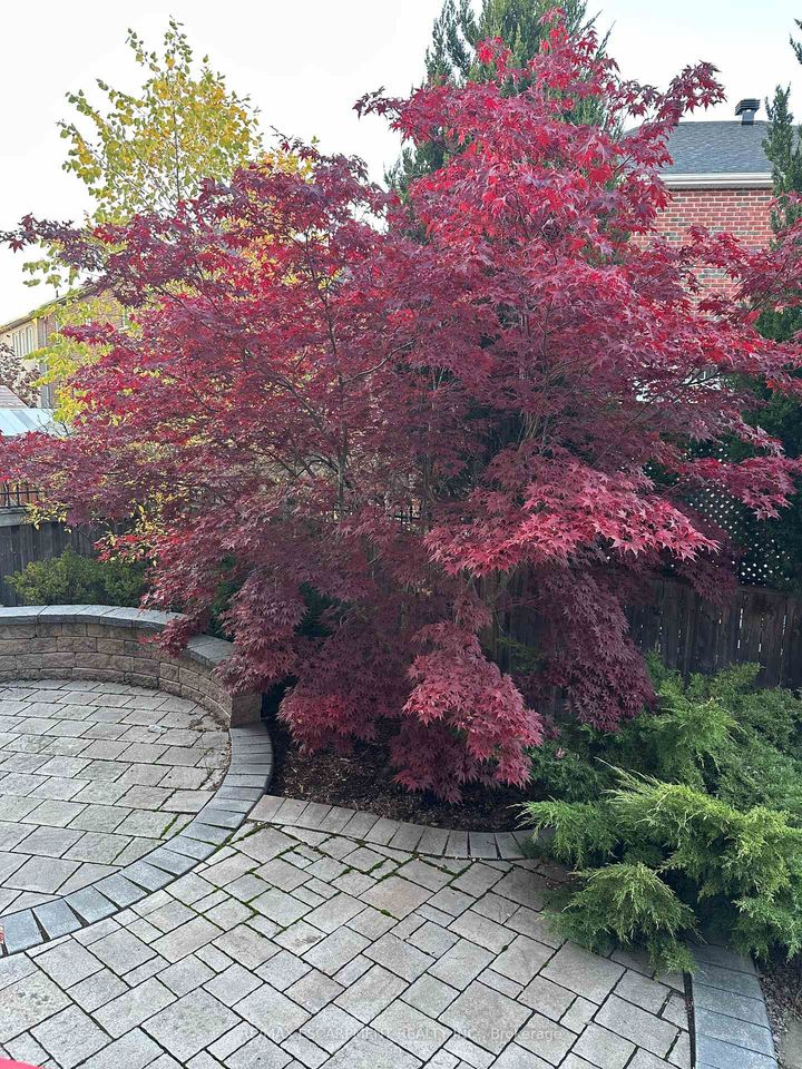 Photo 49 at 3071 Jenn Avenue, Alton, Burlington