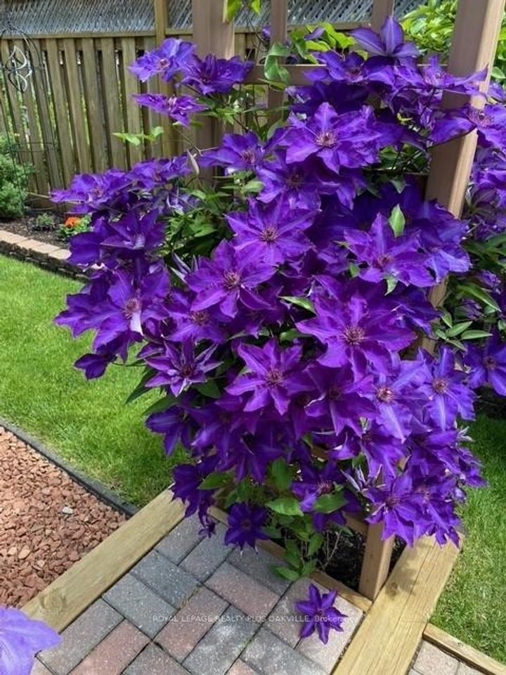 Photo 47 at 475 Sunset Drive, WO West, Oakville