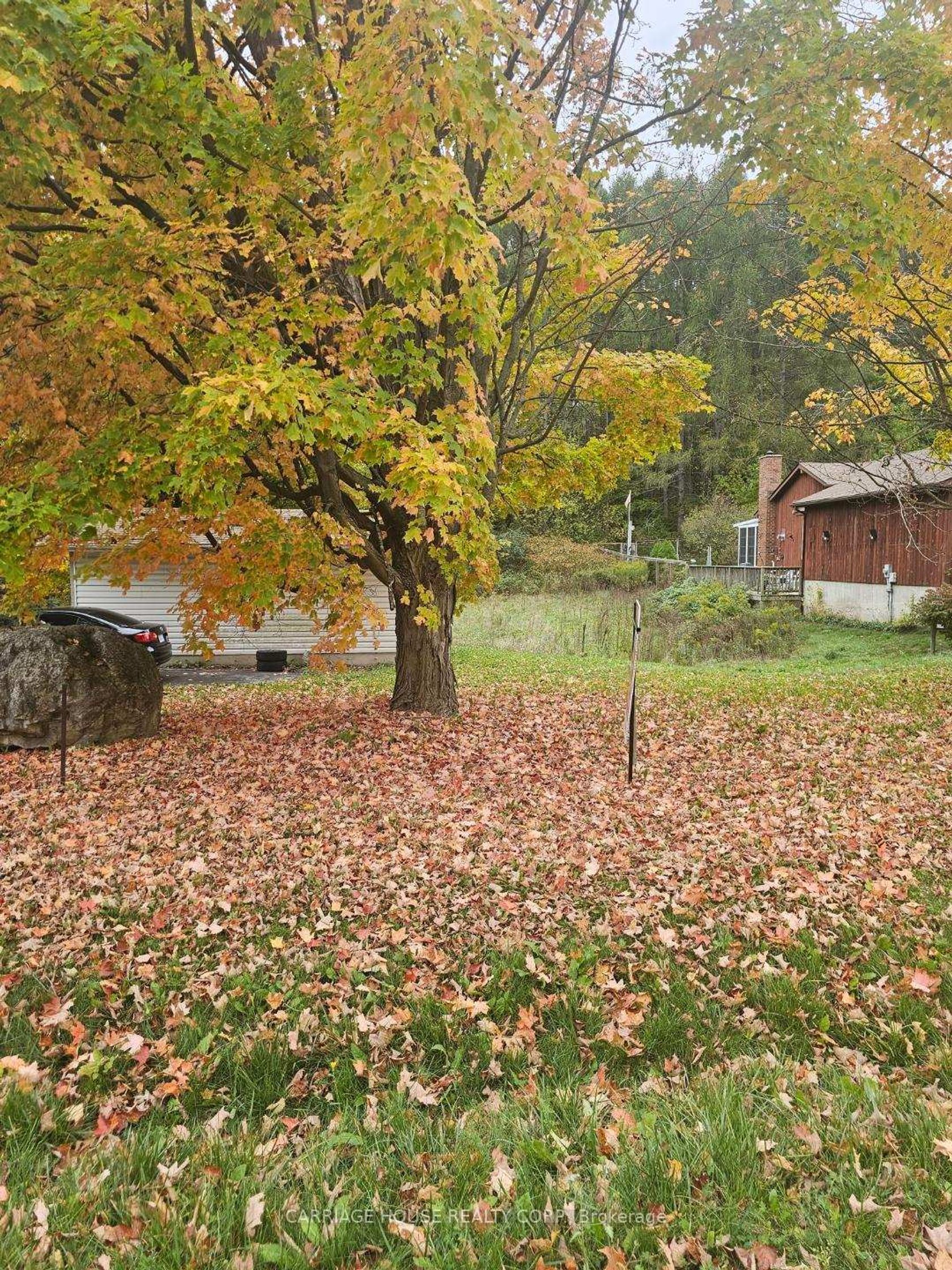 Part 1, 19904 Main Street, Alton, Caledon 