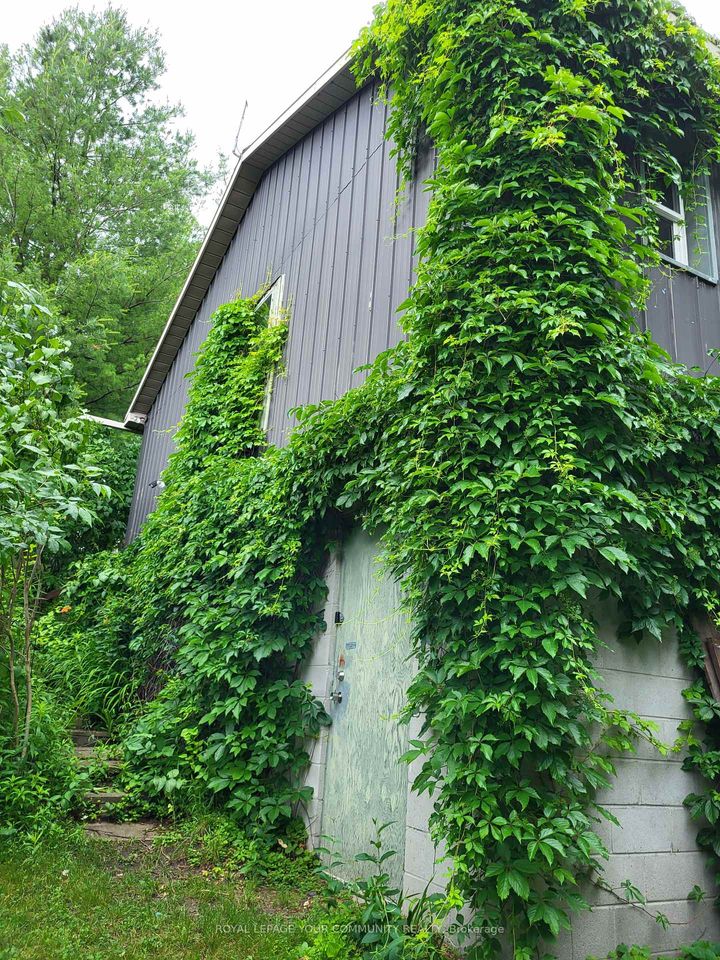 Photo 25 at 11419 Bathurst Street, Westbrook, Richmond Hill