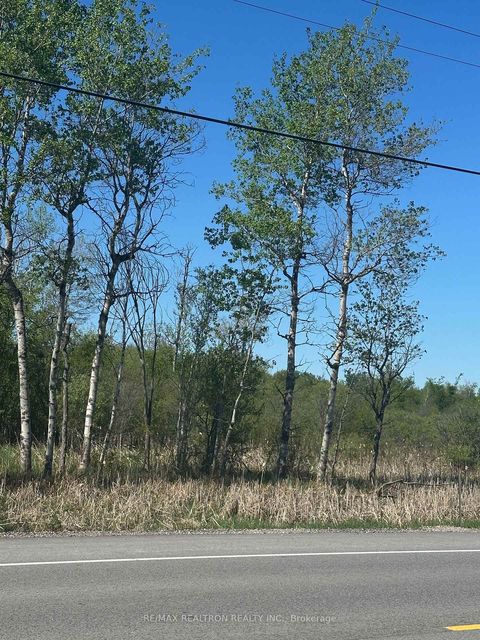 Photo 3 at CON 7 PT LT 1 Ravenshoe Road, Sutton & Jackson's Point, Georgina