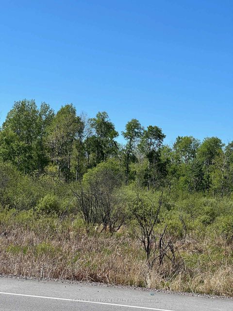 Photo 4 at CON 7 PT LT 1 Ravenshoe Road, Sutton & Jackson's Point, Georgina