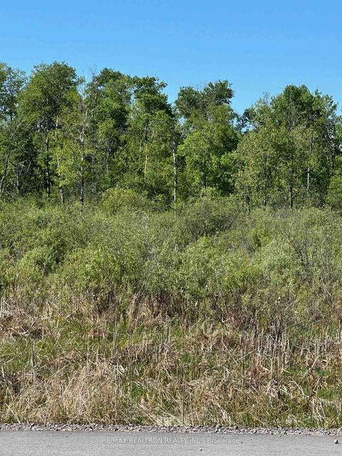 Photo 5 at CON 7 PT LT 1 Ravenshoe Road, Sutton & Jackson's Point, Georgina