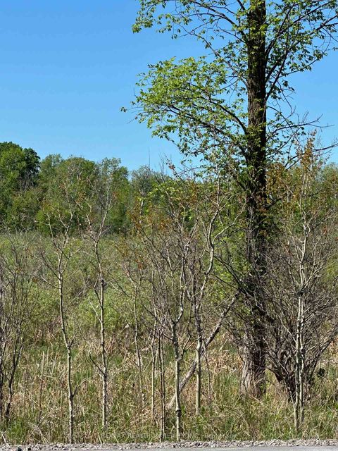 Photo 6 at CON 7 PT LT 1 Ravenshoe Road, Sutton & Jackson's Point, Georgina