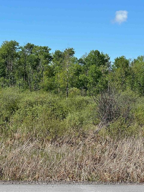 Photo 7 at CON 7 PT LT 1 Ravenshoe Road, Sutton & Jackson's Point, Georgina