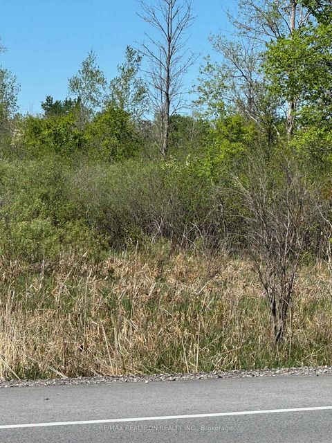 Photo 8 at CON 7 PT LT 1 Ravenshoe Road, Sutton & Jackson's Point, Georgina