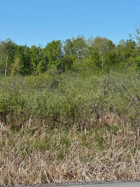 Photo 10 at CON 7 PT LT 1 Ravenshoe Road, Sutton & Jackson's Point, Georgina