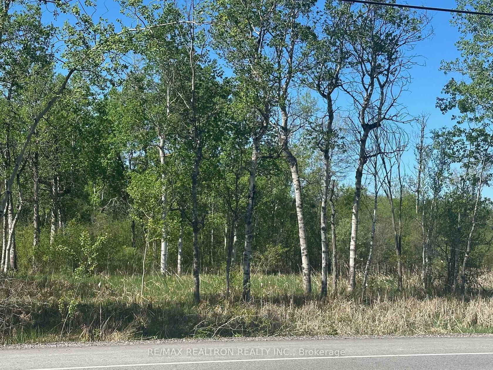 CON 7 PT LT 1 Ravenshoe Road, Sutton & Jackson