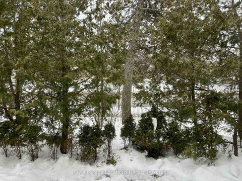 Photo 13 at 4 - 431 Military Trail Trail, Morningside, Toronto