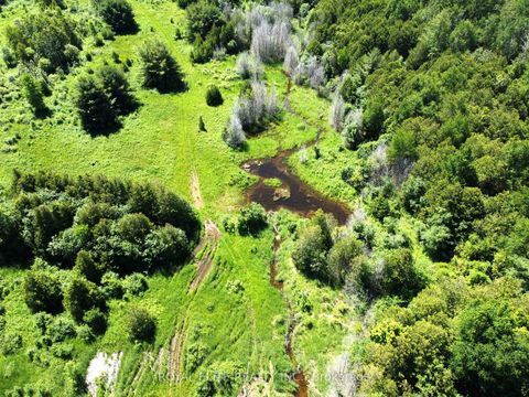 Photo 7 at 30705 Highway -48 Road, Pefferlaw, Georgina