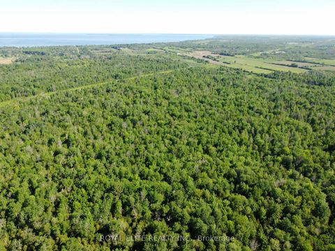 Photo 8 at 30705 Highway -48 Road, Pefferlaw, Georgina