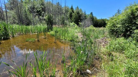 Photo 10 at 30705 Highway -48 Road, Pefferlaw, Georgina