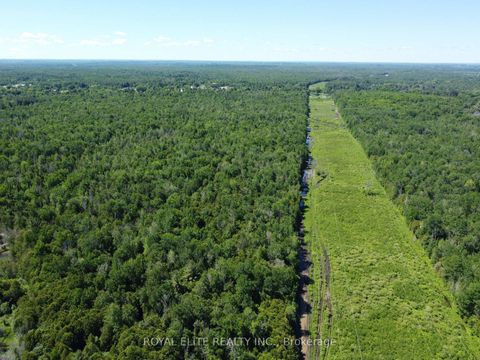 Photo 13 at 30705 Highway -48 Road, Pefferlaw, Georgina