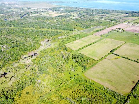 Photo 18 at 30705 Highway -48 Road, Pefferlaw, Georgina