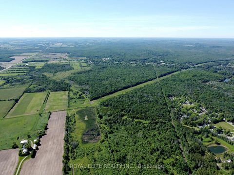 Photo 19 at 30705 Highway -48 Road, Pefferlaw, Georgina