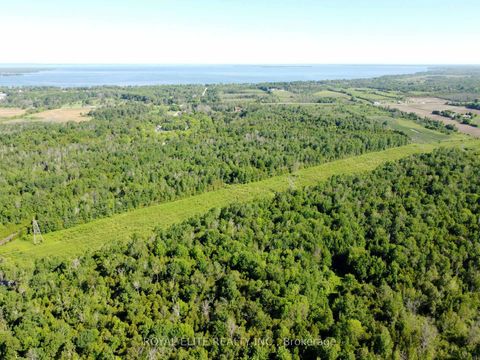 Photo 22 at 30705 Highway -48 Road, Pefferlaw, Georgina