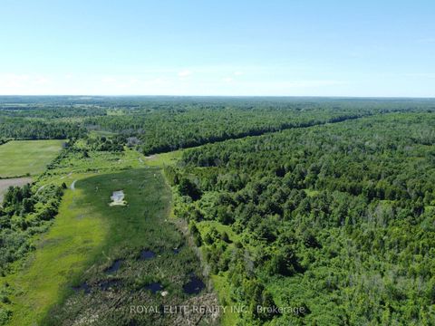 Photo 25 at 30705 Highway -48 Road, Pefferlaw, Georgina