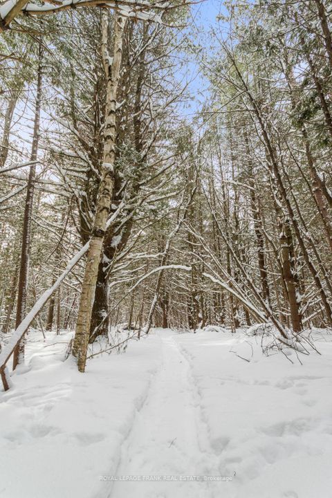 Photo 30 at 5 Regent Street, Pefferlaw, Georgina