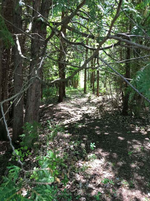 Photo 31 at 5 Regent Street, Pefferlaw, Georgina