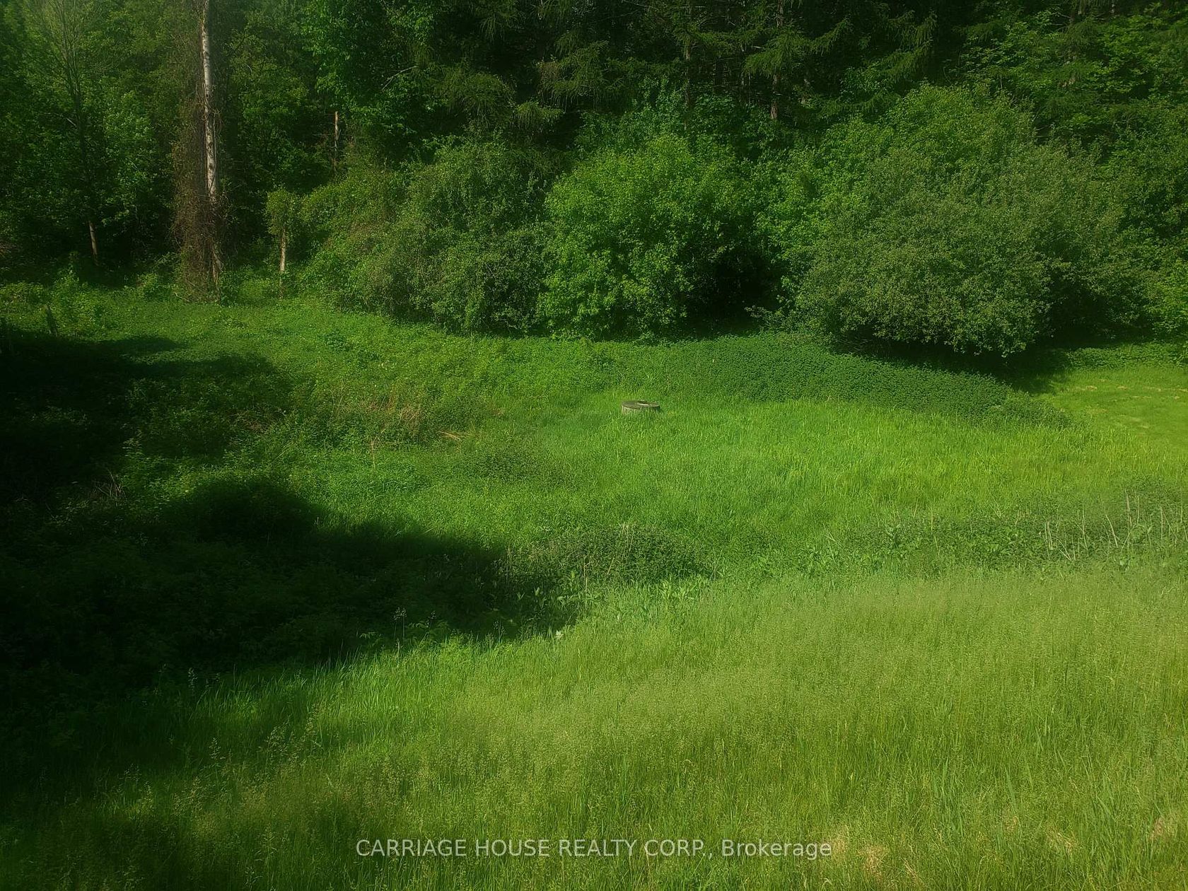 19904 - Part 3 Main Street, Alton, Caledon 