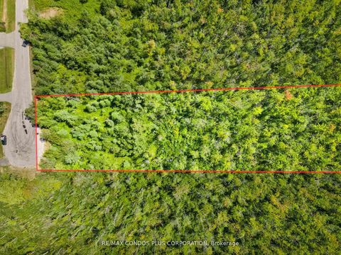 Photo 20 at 1 Donna Drive, Pefferlaw, Georgina