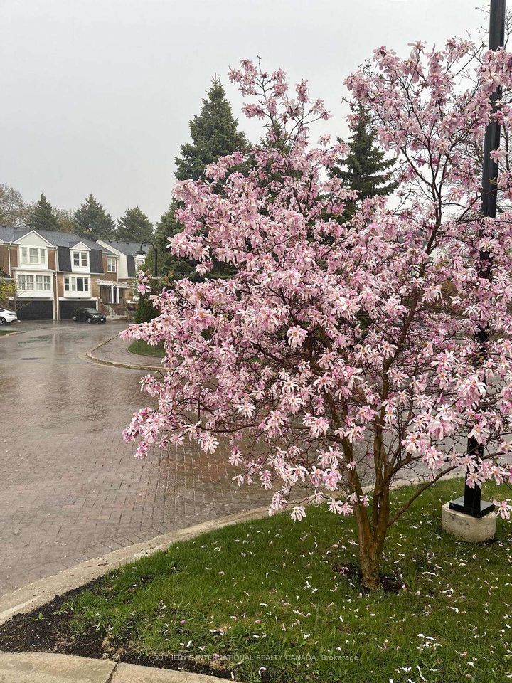 Photo 42 at 26 Tamarack Circle, The Westway, Toronto