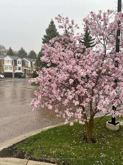 Photo 42 at 26 Tamarack Circle, The Westway, Toronto