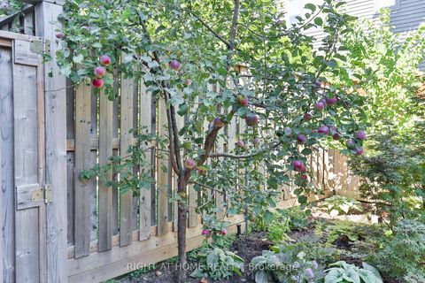 Photo 8 at 18 Mitchell Avenue, Niagara, Toronto