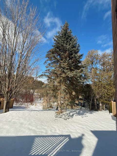 Photo 35 at 492 Traviss Drive, Leslie Valley, Newmarket