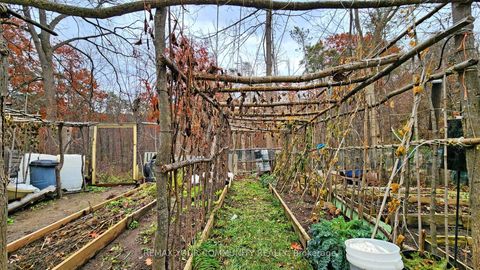 Photo 48 at 167 Little Avenue, Allandale Heights, Barrie