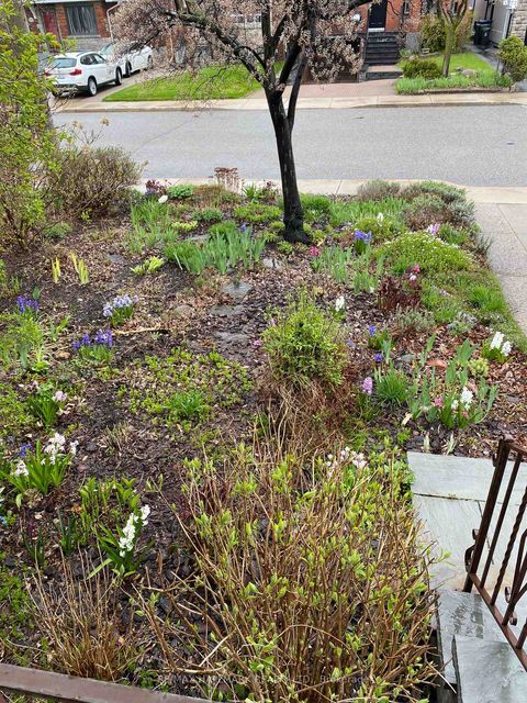 Photo 43 at 85 Roosevelt Road, Danforth, Toronto