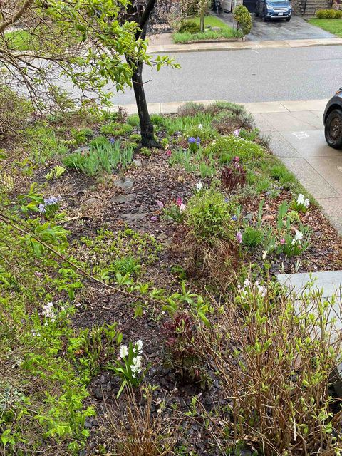 Photo 47 at 85 Roosevelt Road, Danforth, Toronto