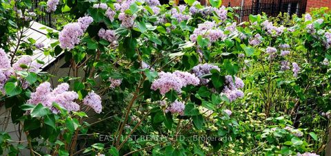 Photo 27 at 345 Tower Hill Road, Jefferson, Richmond Hill