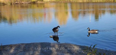 Photo 33 at 345 Tower Hill Road, Jefferson, Richmond Hill