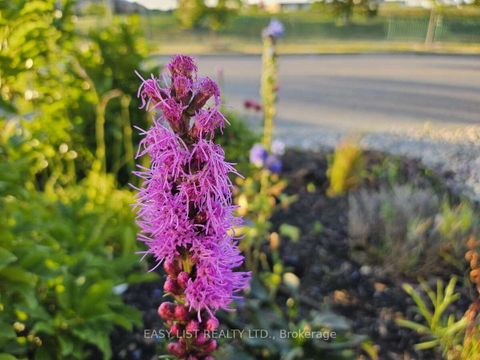 Photo 35 at 345 Tower Hill Road, Jefferson, Richmond Hill