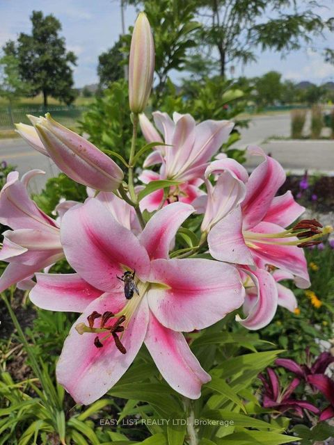 Photo 36 at 345 Tower Hill Road, Jefferson, Richmond Hill