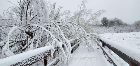 Photo 38 at 345 Tower Hill Road, Jefferson, Richmond Hill