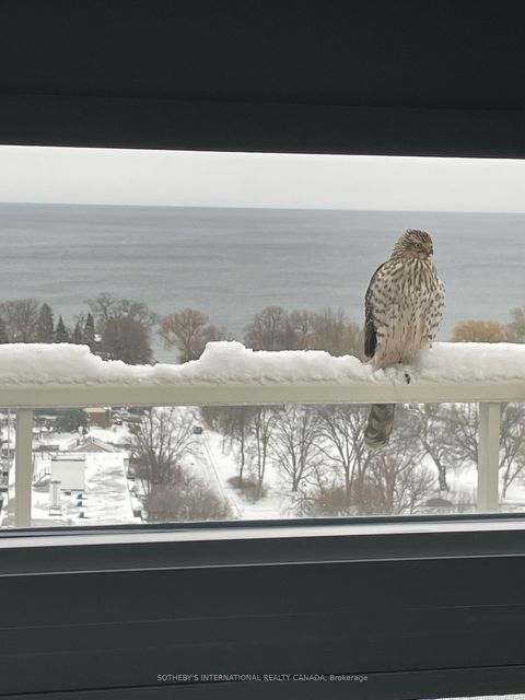 Photo 44 at 1602 - 3865 Lake Shore Boulevard W, Long Branch, Toronto