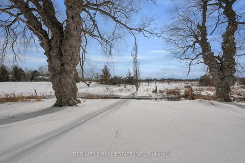 Photo 21 at 4905 Lloydtown-Aurora Road, Pottageville, King