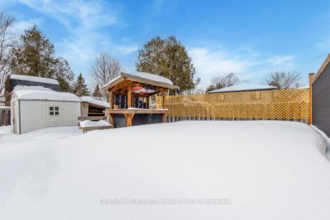 Photo 42 at 782 Chestnut Street, Rural Innisfil, Innisfil