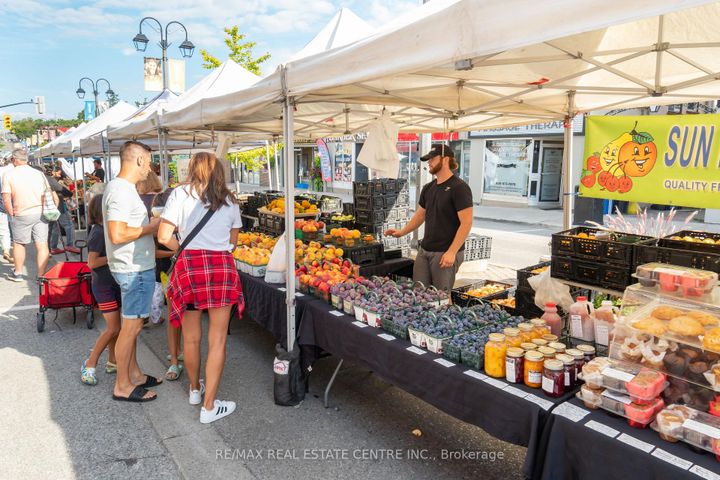 Photo 44 at 19 James Street, Georgetown, Halton Hills