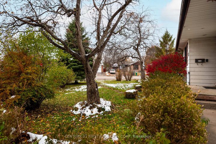 Photo 1 at 37 Mclaughlin Road N, Brampton West, Brampton