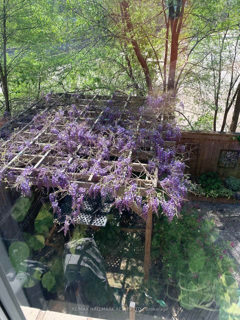 Photo 37 at 9 Pethick Street, Birchmount, Toronto