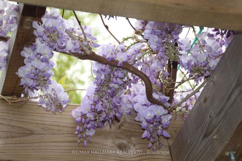 Photo 38 at 9 Pethick Street, Birchmount, Toronto