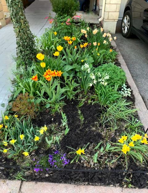 Photo 40 at 9 Pethick Street, Birchmount, Toronto