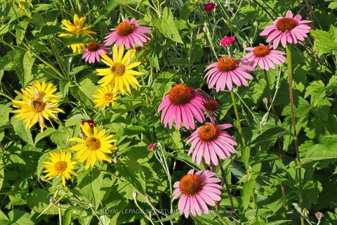 Photo 29 at 28 Grove Park Crescent, Don Valley Village, Toronto