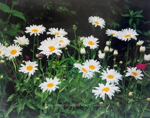 Photo 39 at 28 Grove Park Crescent, Don Valley Village, Toronto